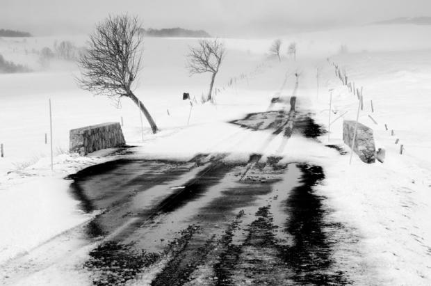 Jean Luc Meyssonnier Galerie Mirabilia